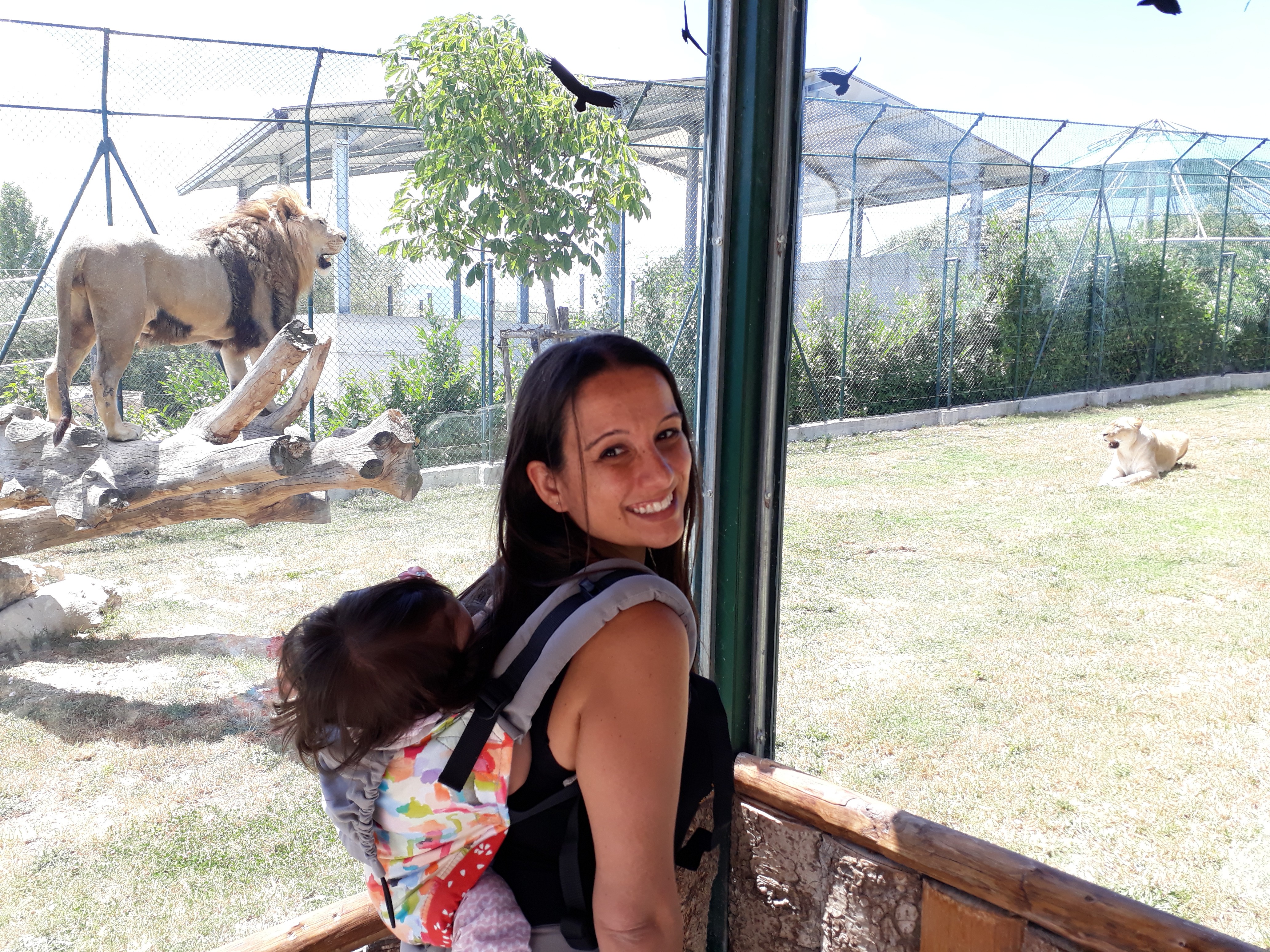 Visita allo zoo delle Maitine (BN), orari e prezzi