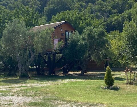 Dormire in Calabria su una casa sull’albero: Palazzo Conforti Tree House Resort