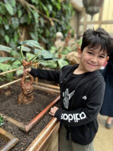 Andrea e la Mandragola
